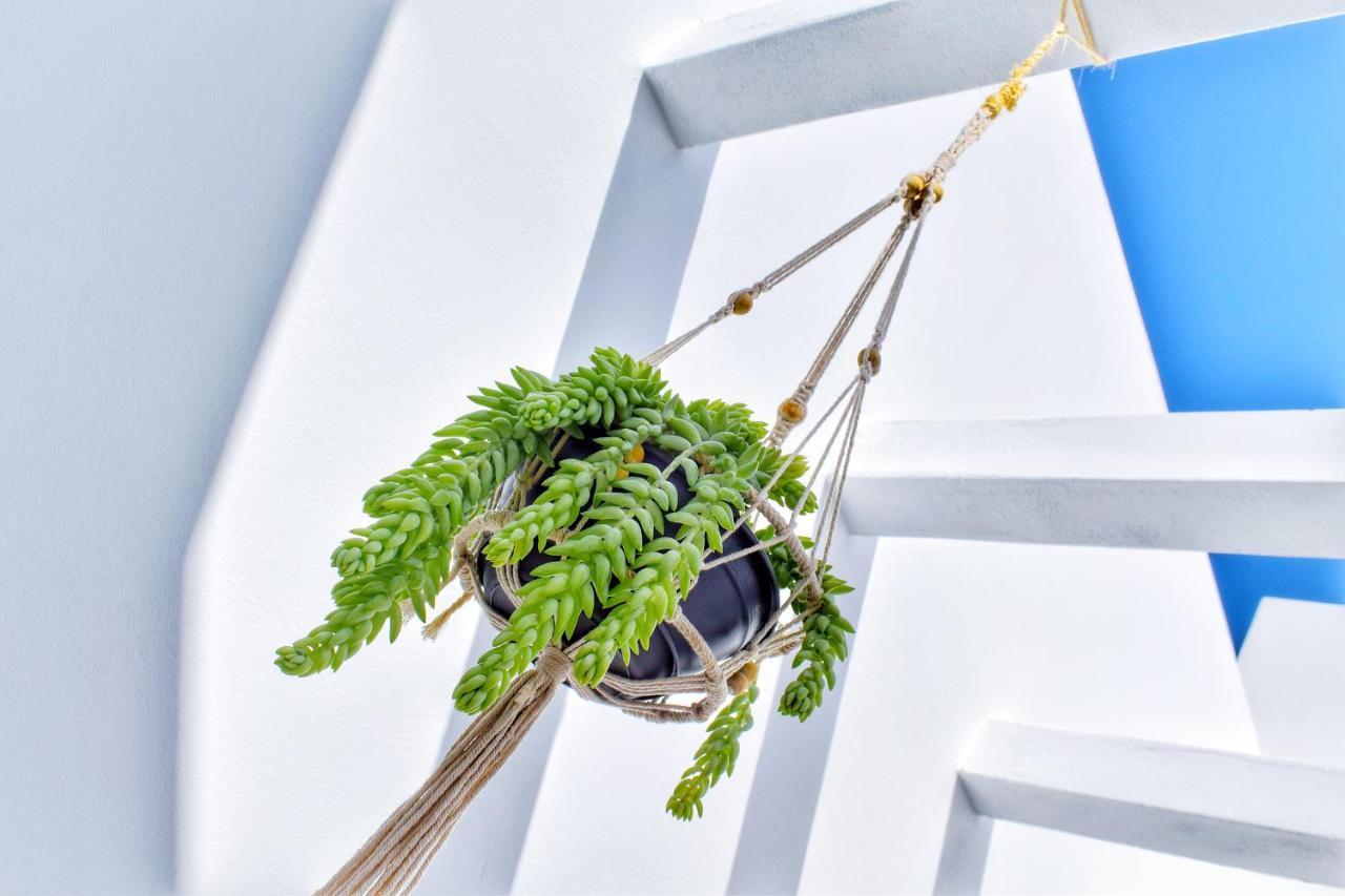 Mana Ecoretreat Las Breñas 외부 사진